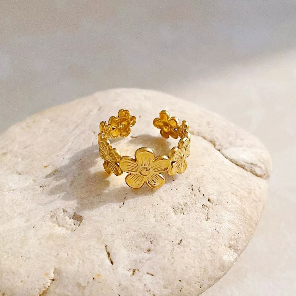 Isa Ring