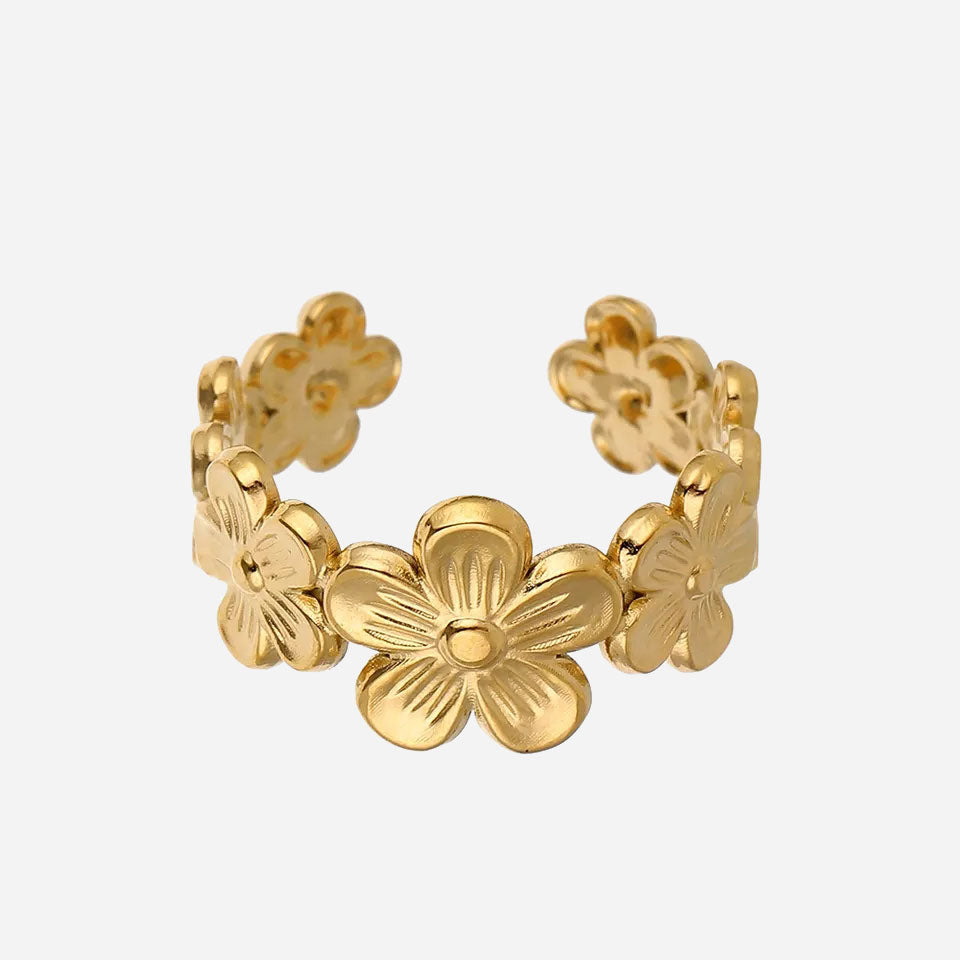 Isa Ring