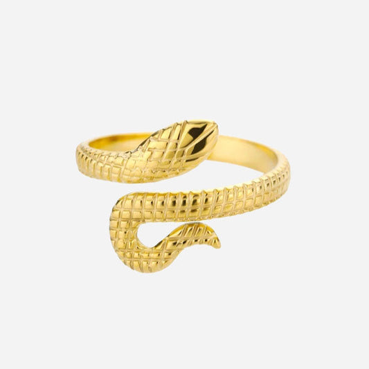 Ilse Ring