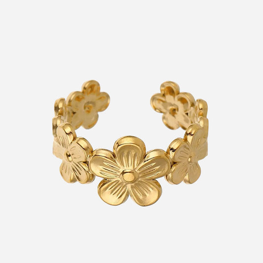 Isa Ring